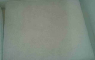 Bio Cleaning Living Room after 2