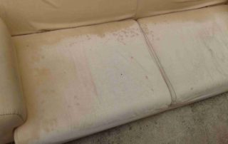 Bio Cleaning Living Room before 2