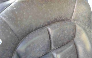 Car Bio Cleaning before 1