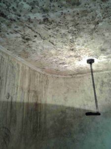 House Bio Cleaning 2
