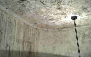 House Bio Cleaning 2