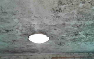 House Bio Cleaning 3