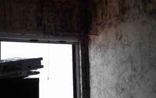 House Bio Cleaning 5