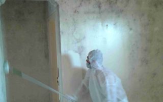 House Bio Cleaning 6