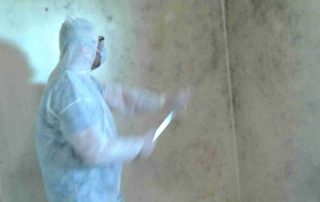 House Bio Cleaning 7